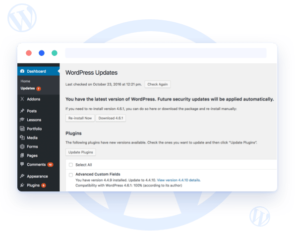 WordPress Updates